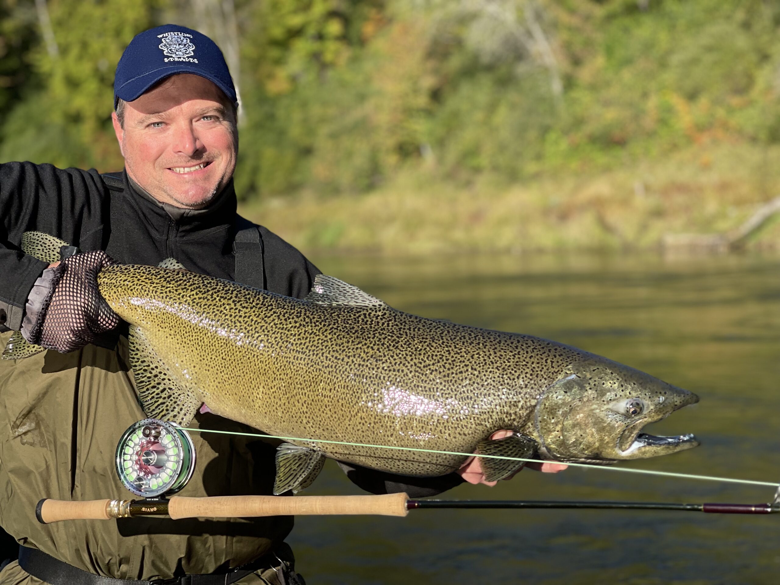 on the fly - chinook salmon