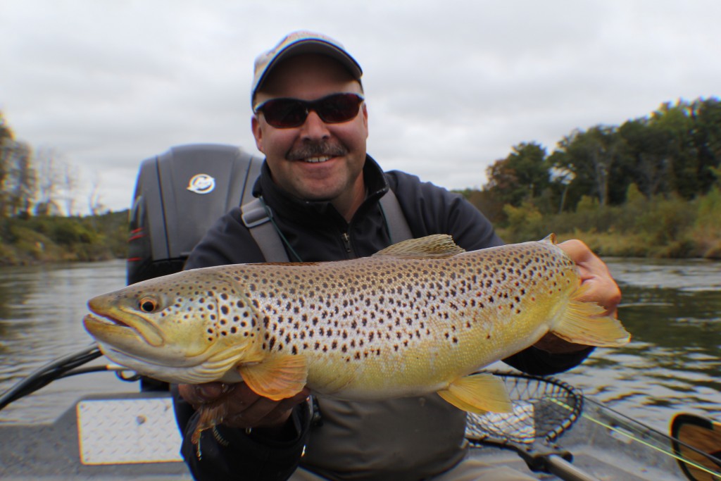 Clint with Manistee river Brown trout