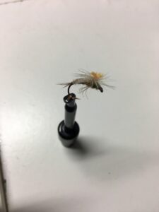 Muskegon river trout fly pattern - Sulphur emerger
