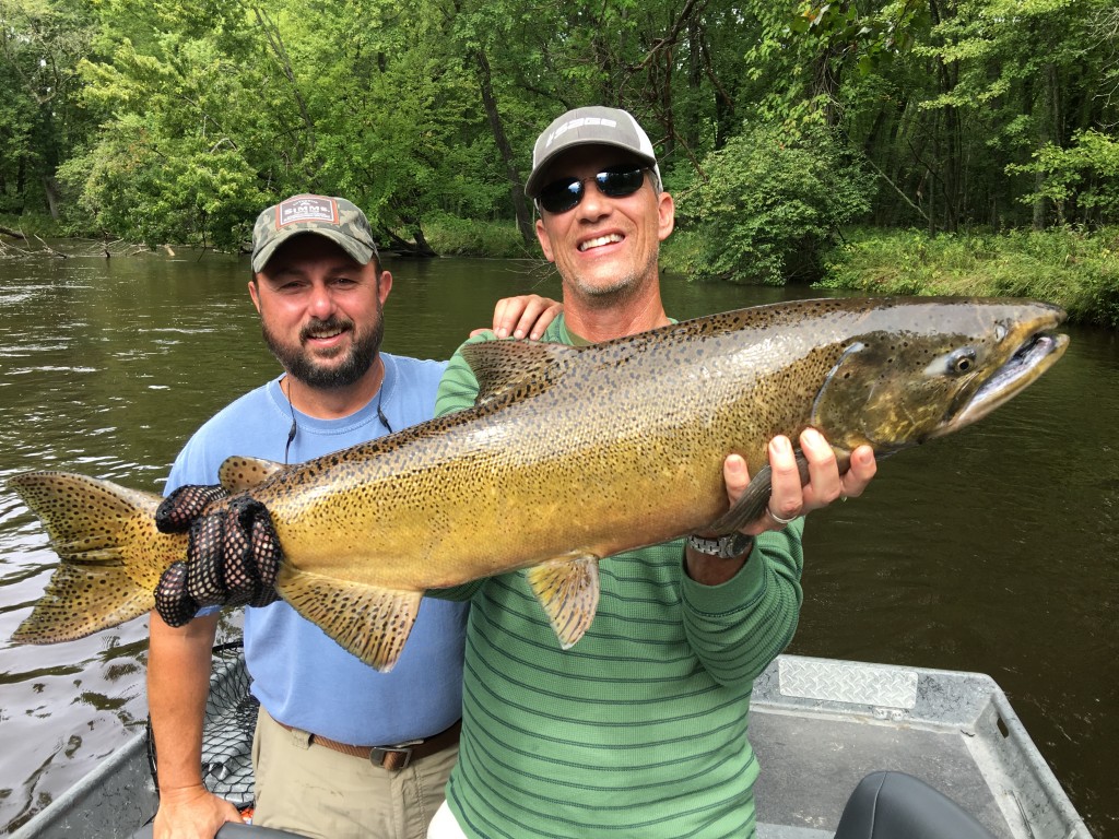Pere Marquette river salmon