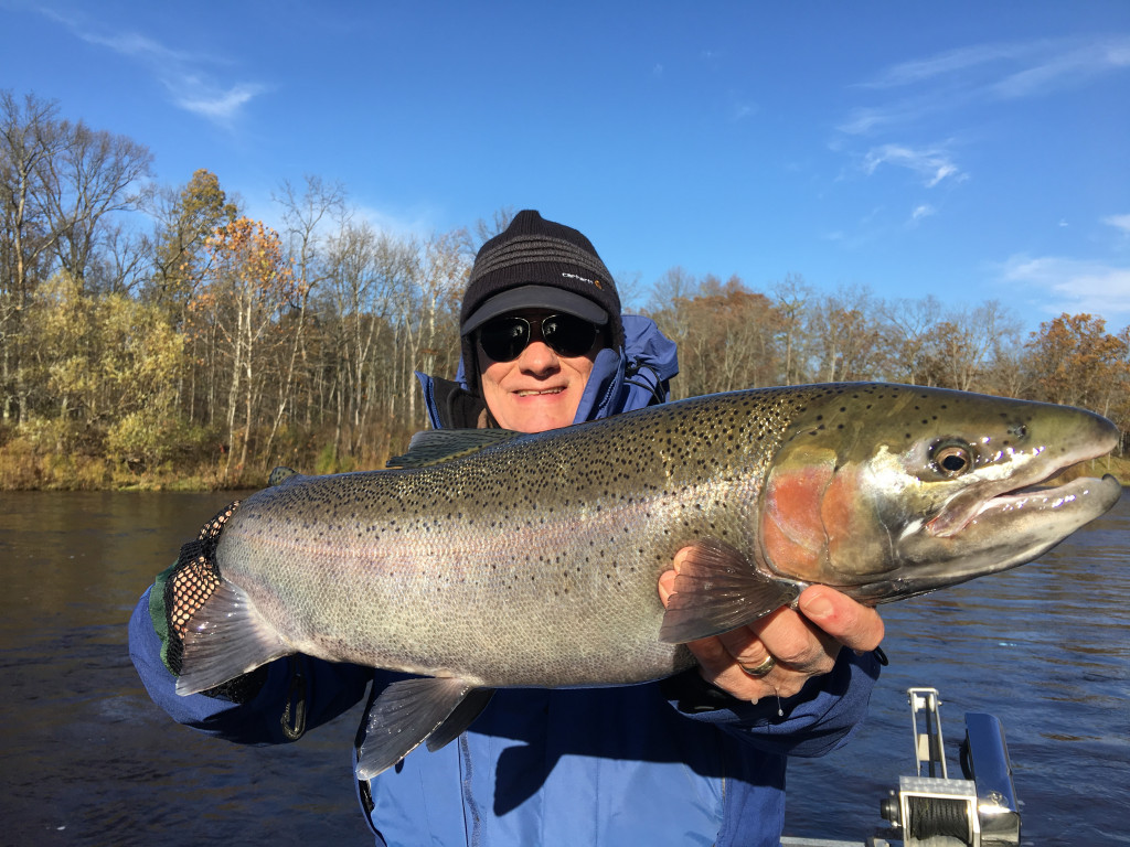 Dave with a Muskegon river steelhead