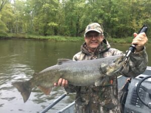 Pere Marquette fall run Chinook salmon