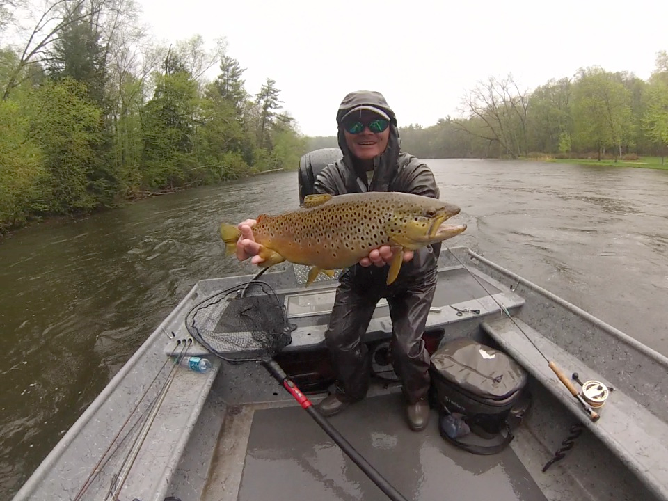 Muskegon River Brown Trout